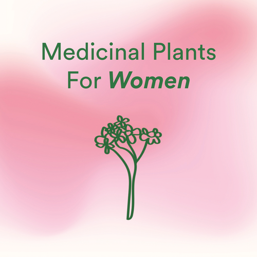 The Best Medicinal Plants for Women (and Their Use)