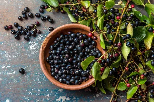 Maqui berry: top 5 health benefits of the superfruit